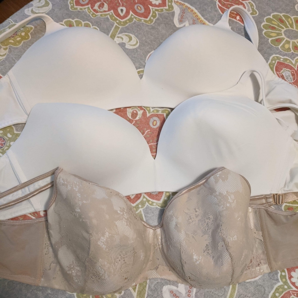 Cacique Lane Bryant Bras